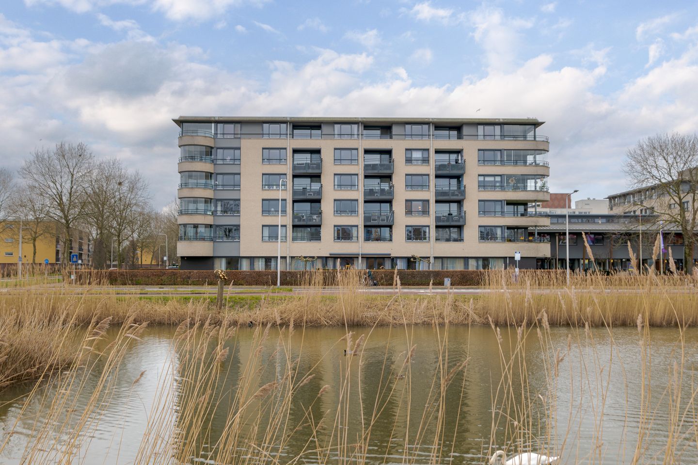 Foto 1 van Zijpe 134