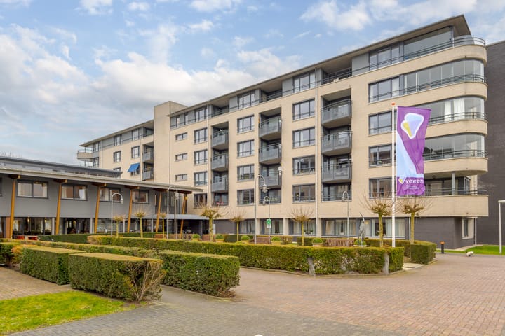 Foto 15 van Zijpe 134