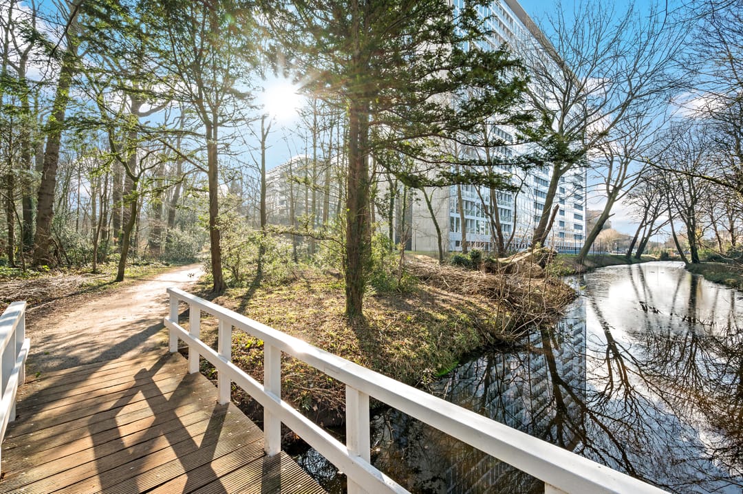 Foto 38 van Oostduinplein 241