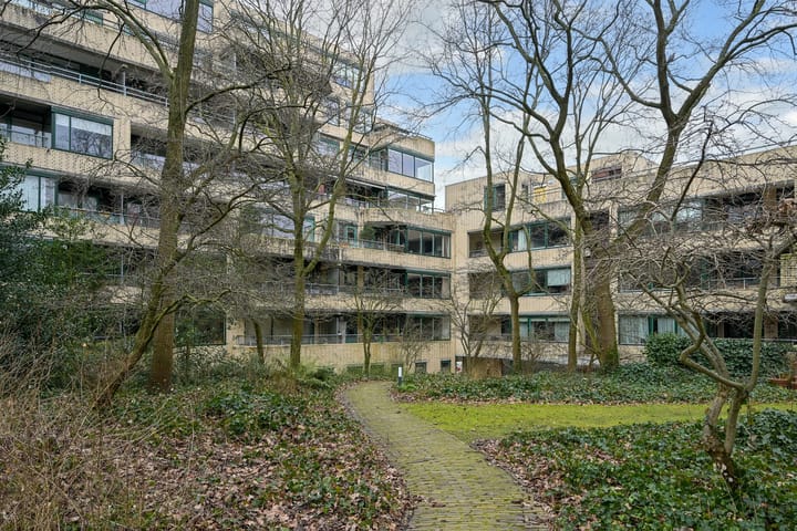 Foto 7 van Burgemeester Patijnlaan 460