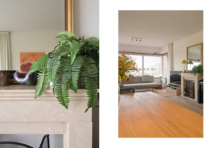 Foto 16 van Burgemeester Patijnlaan 460