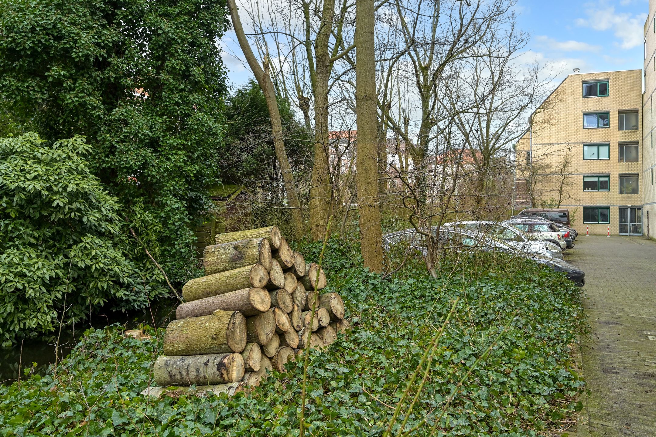 Foto 36 van Burgemeester Patijnlaan 460