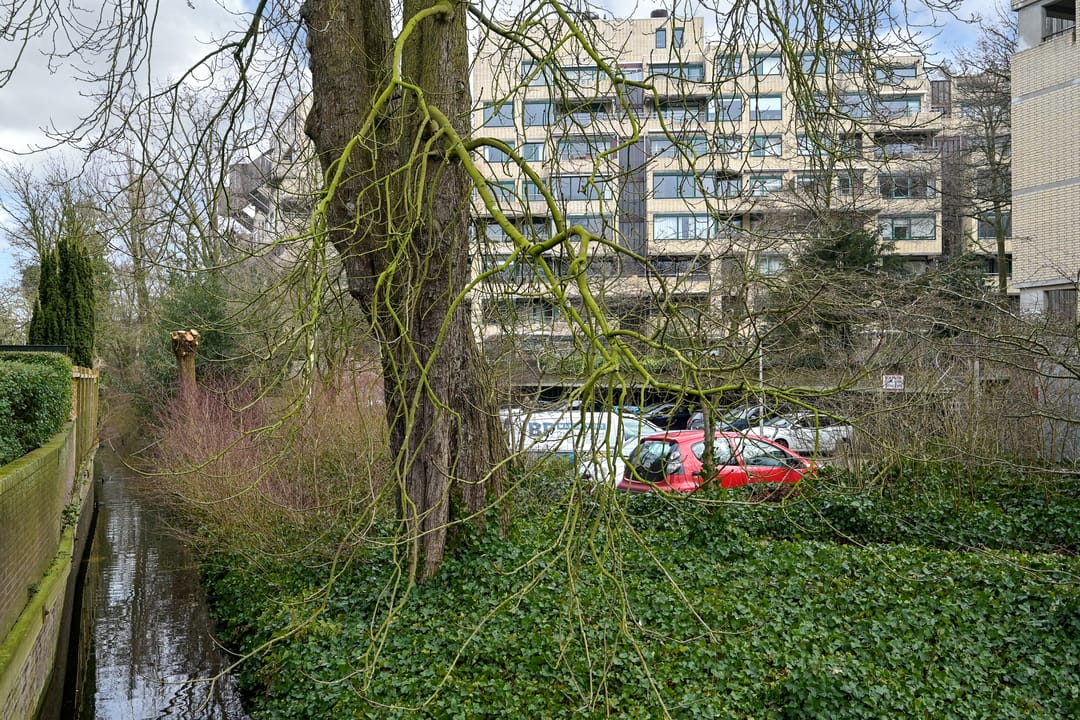 Foto 38 van Burgemeester Patijnlaan 460