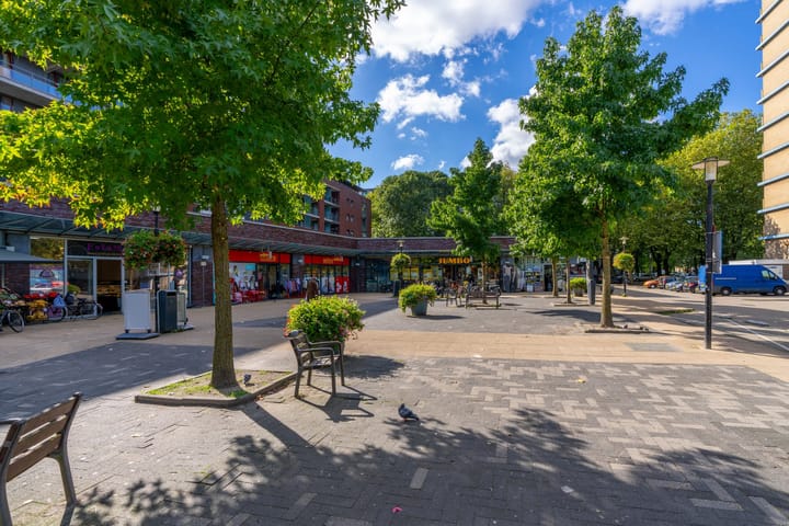 Foto 25 van Euterpedreef 58