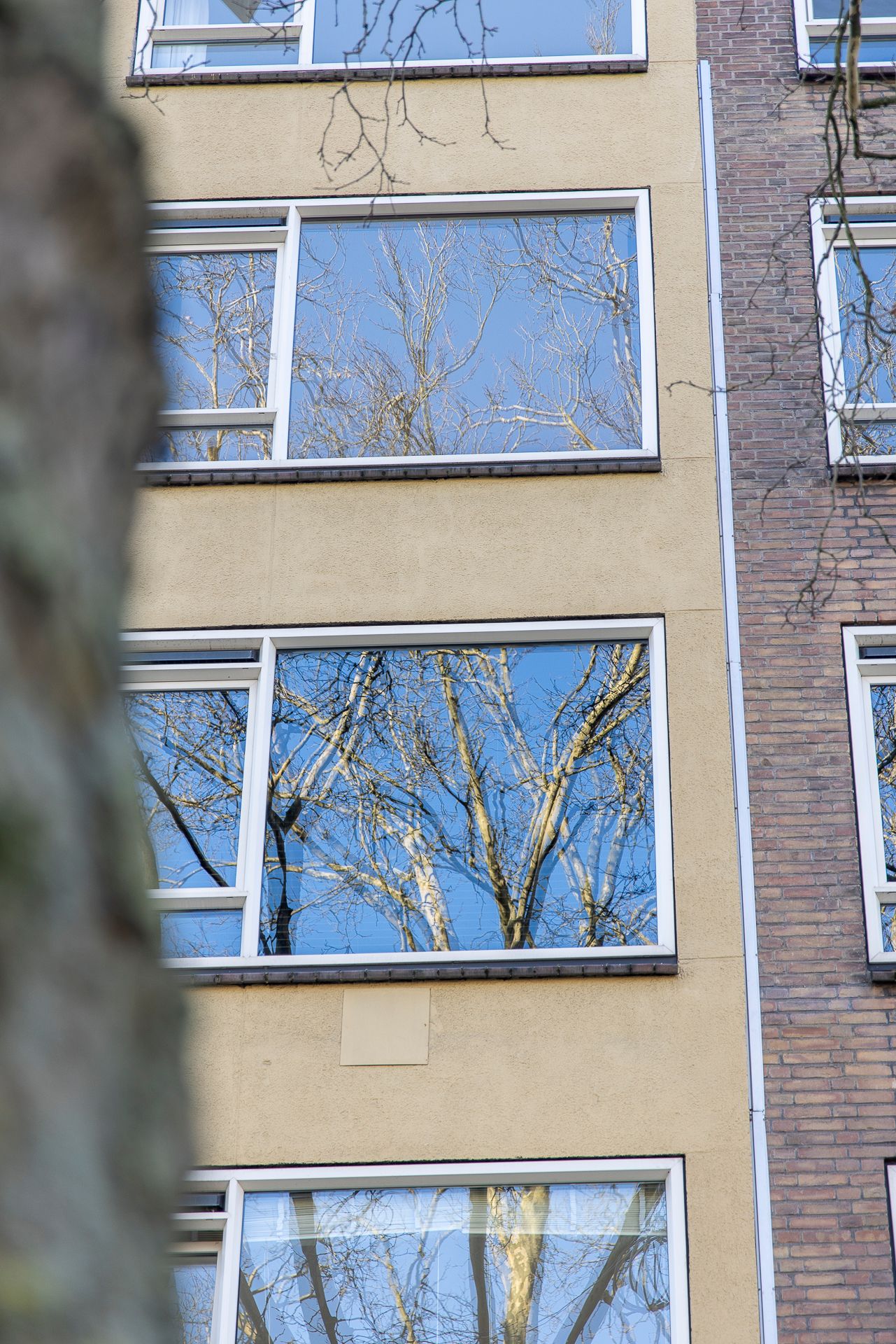 Foto 6 van Goudsesingel 336-D