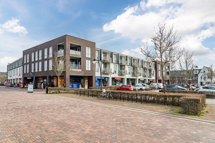 Foto 43 van Van Boetzelaerlaan 12