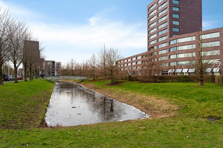 Foto 44 van Meerkoetstraat 48