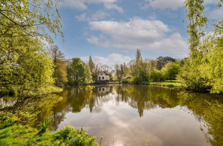 Foto 16 van Madurastraat 117-3