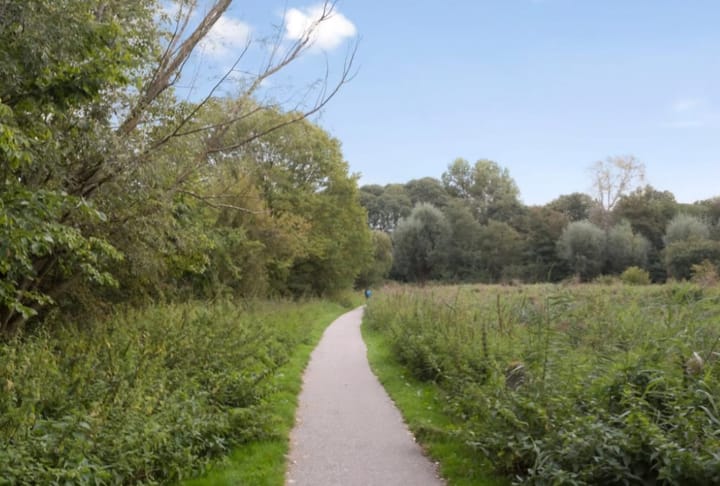 Foto 17 van Madurastraat 117-3