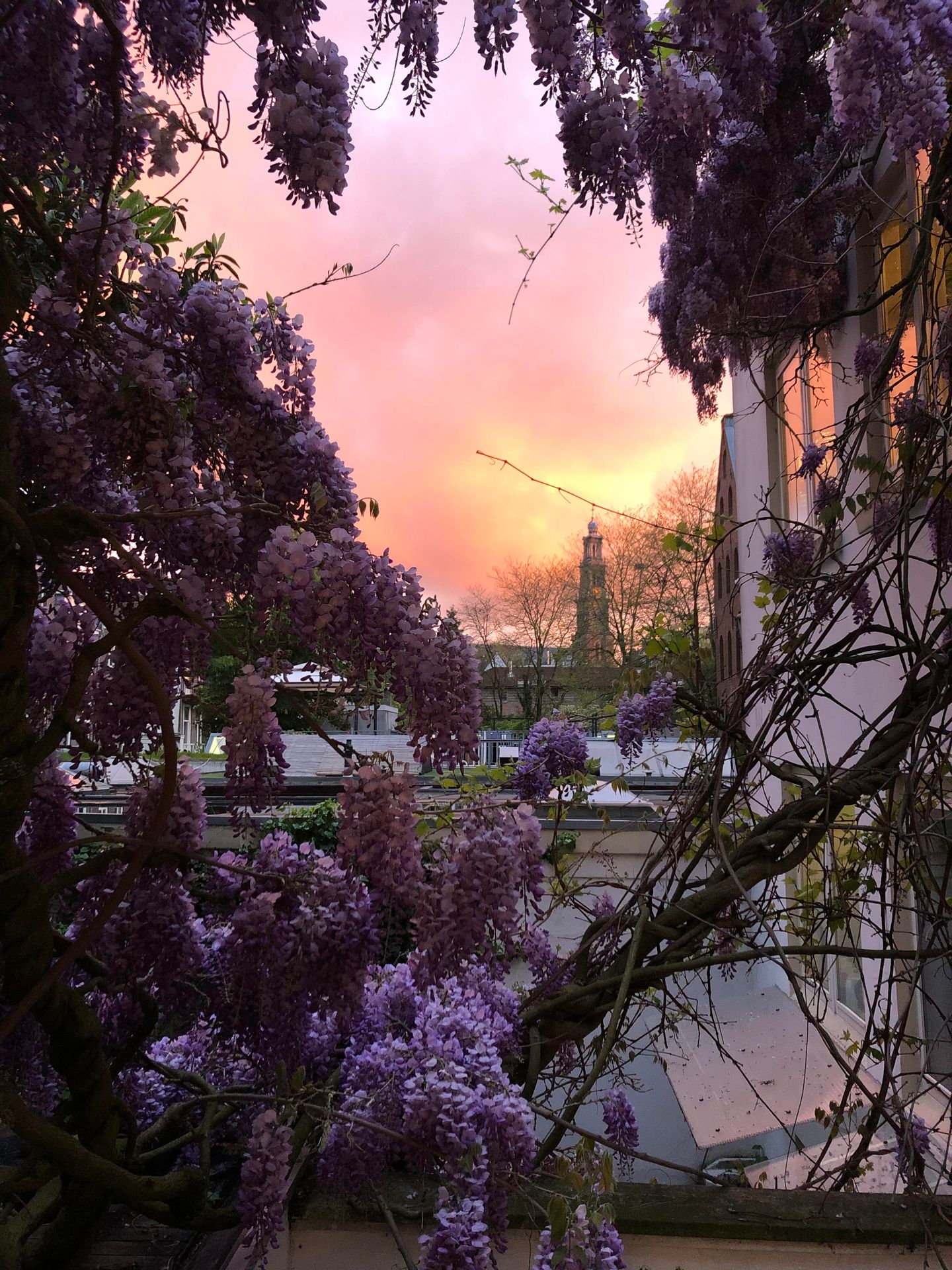 Photo 20 of Prinsengracht 203-B1