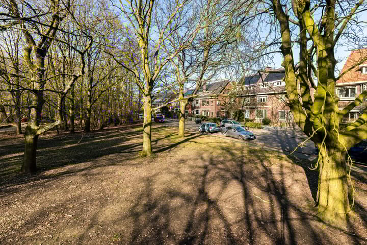 Foto 64 van Julianalaan 32