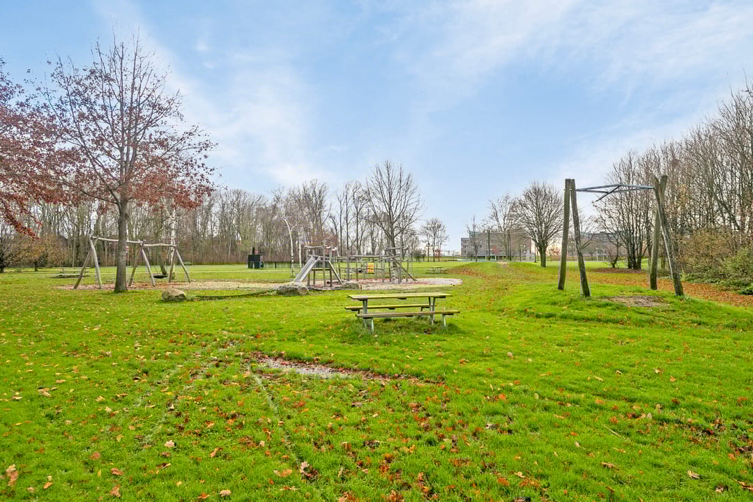 Photo 7 of Dissel 27