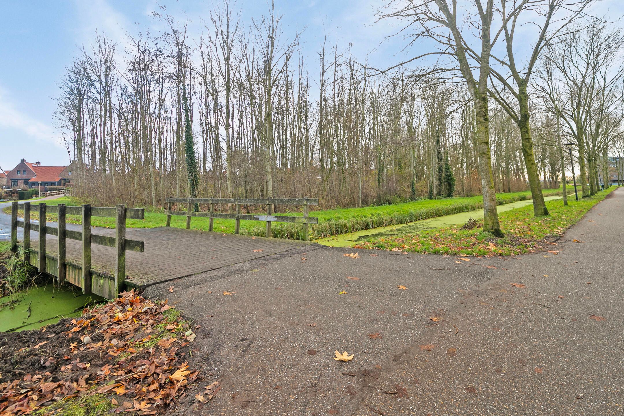 Photo 9 of Dissel 27