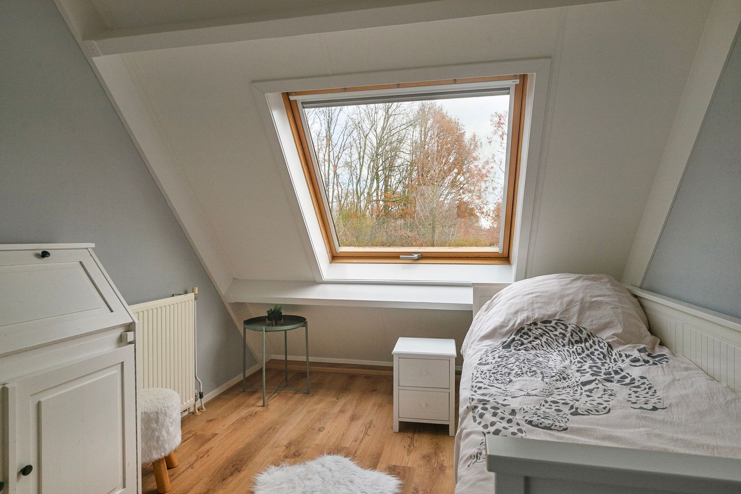 Photo 29 of Dissel 27