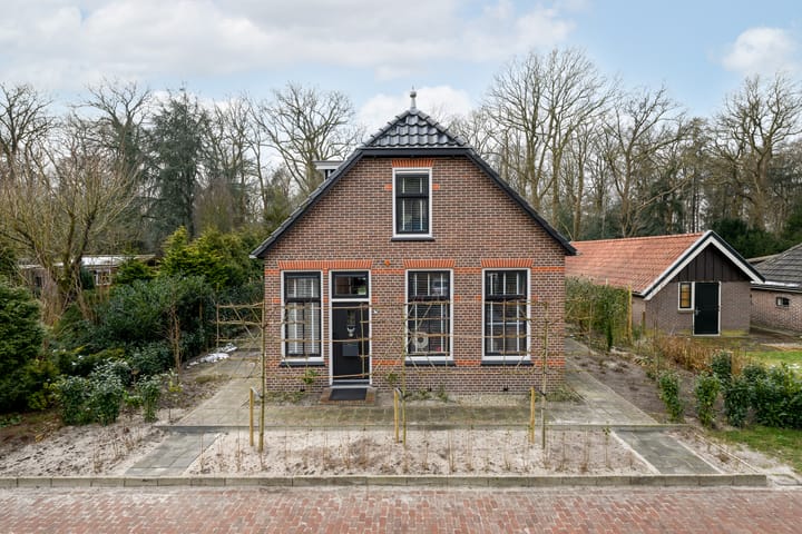 undefined main image