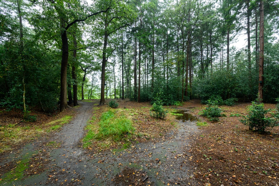 Photo 28 of Molenhoek 29