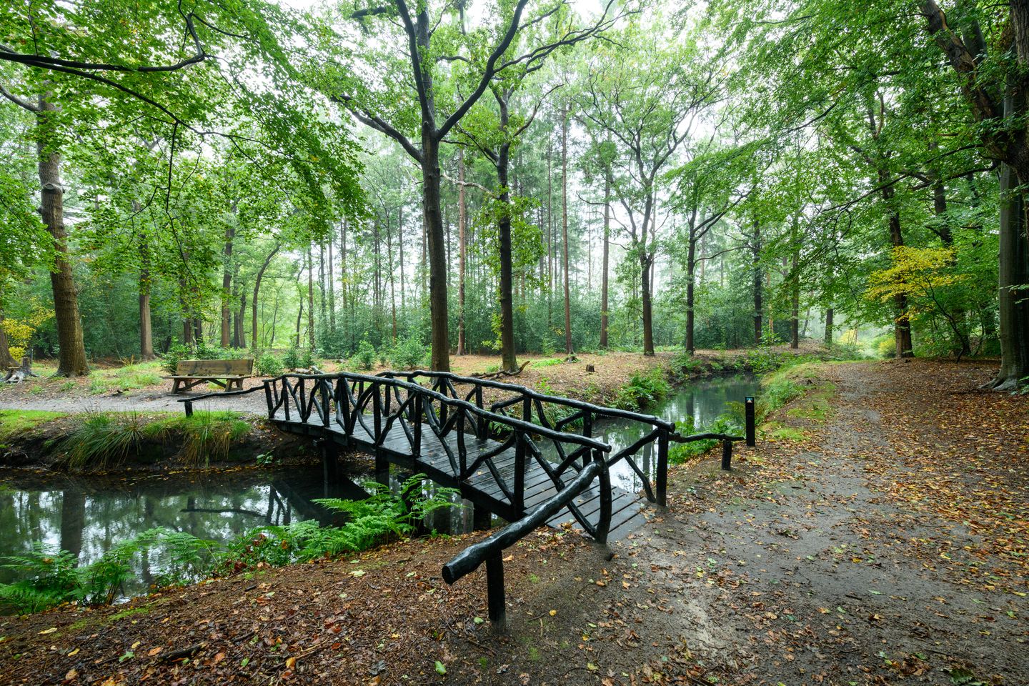 Photo 29 of Molenhoek 29