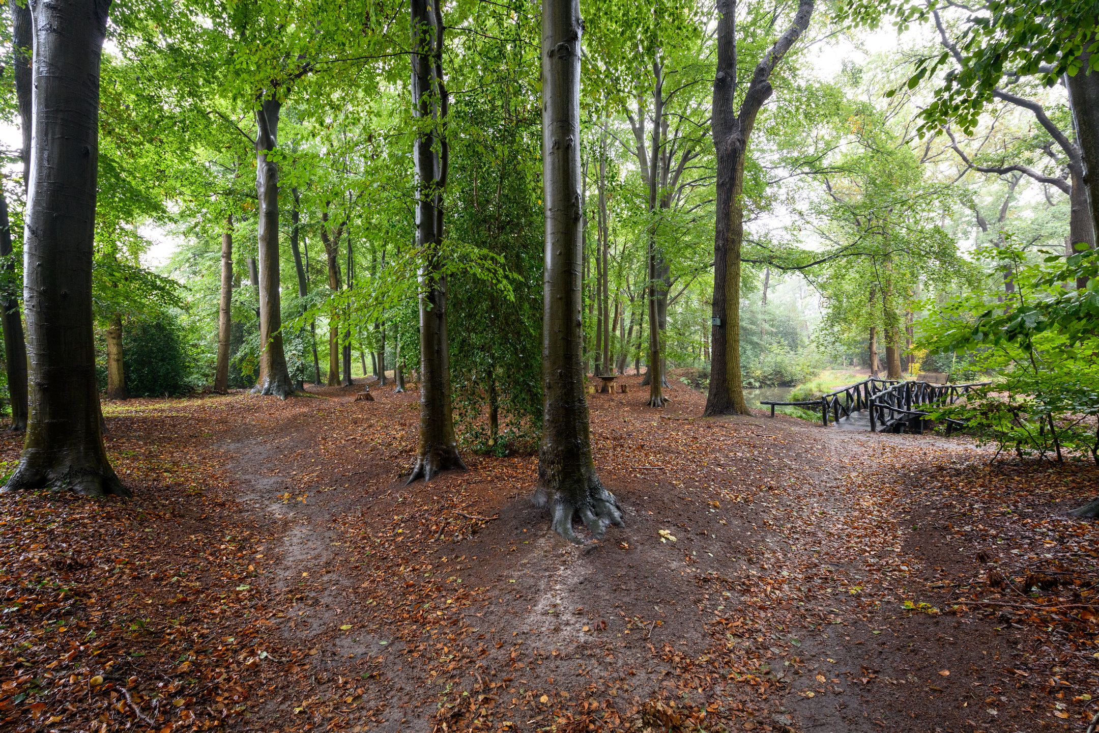 Photo 30 of Molenhoek 29