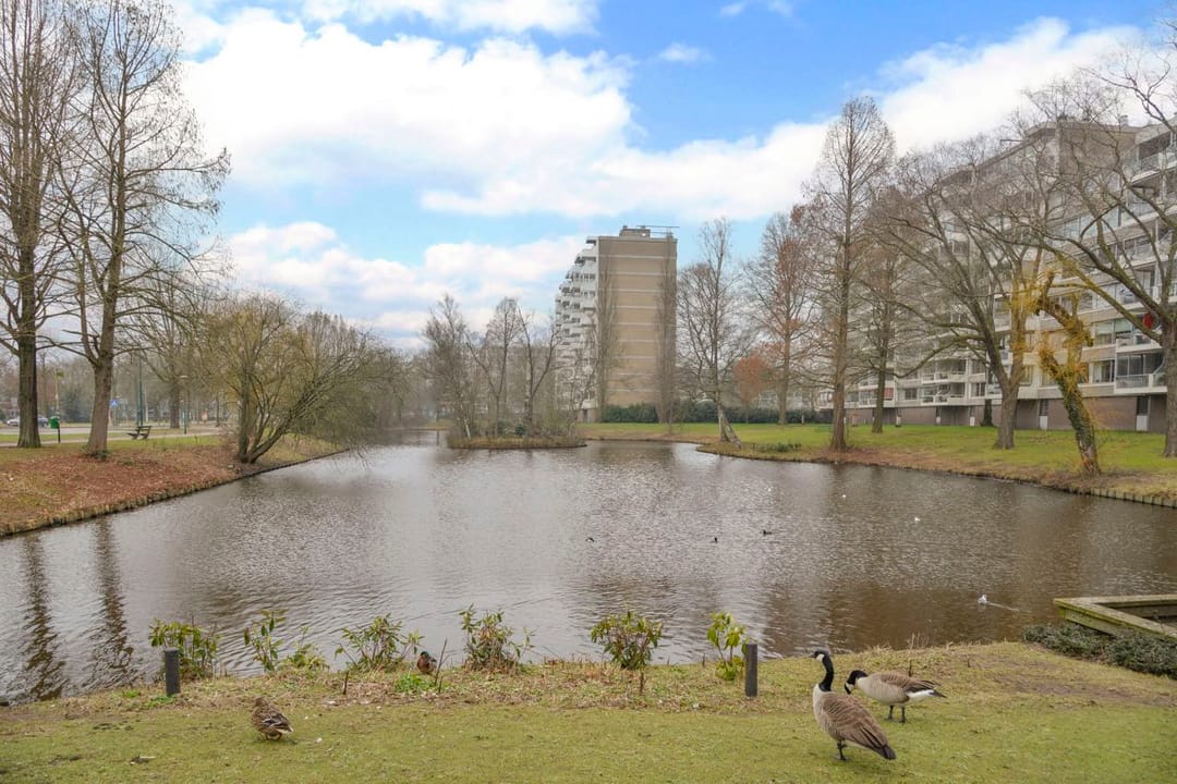 Foto 2 van Veenbesstraat 460