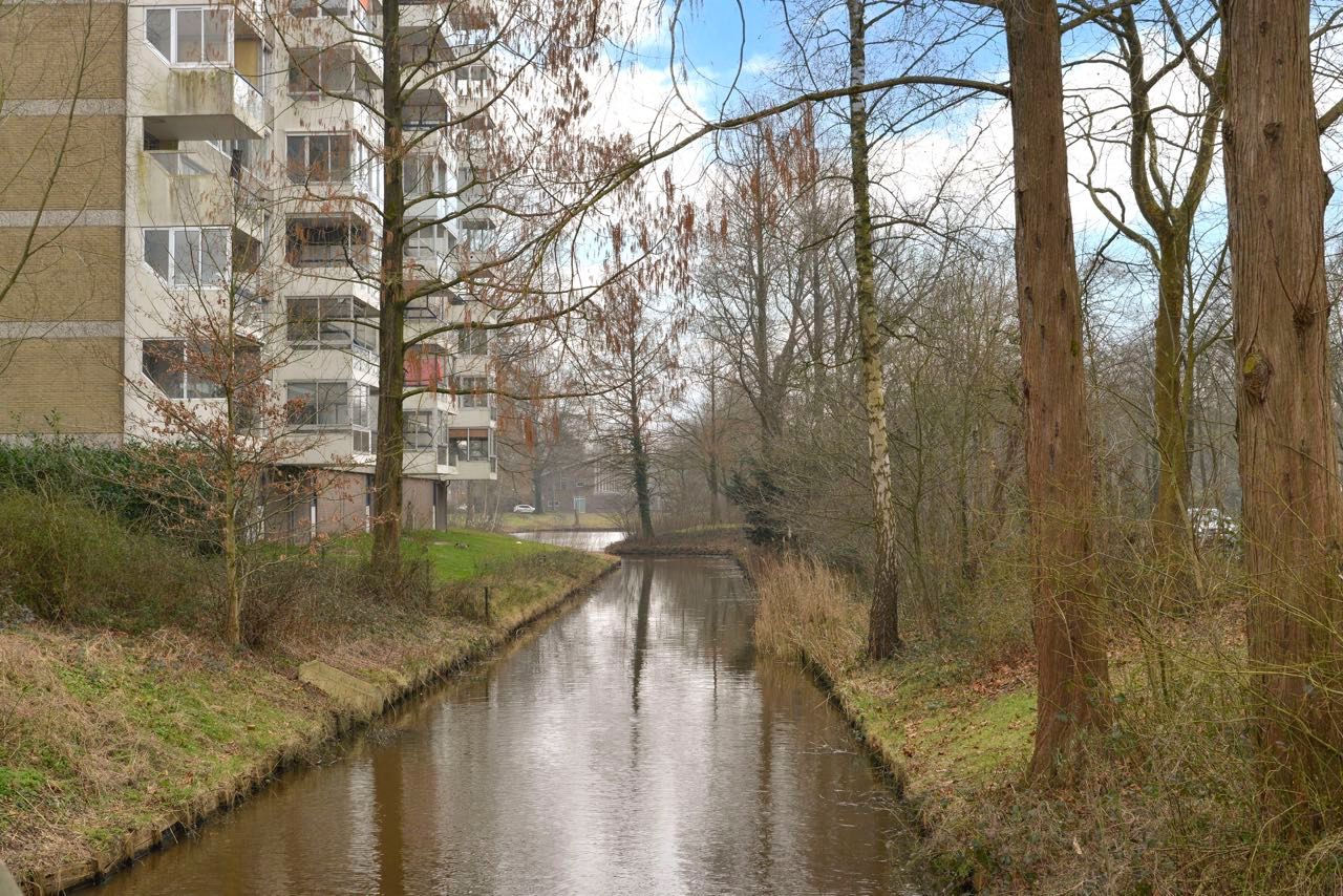 Foto 3 van Veenbesstraat 460