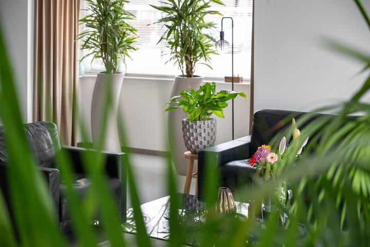 Photo 18 of Pablo Picassostraat 46