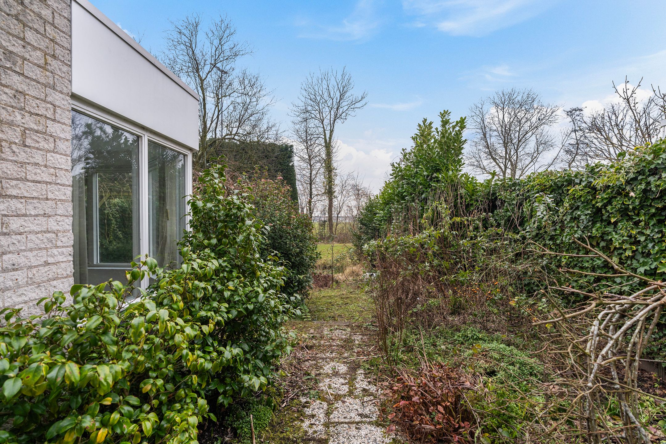 Foto 30 van Beukenlaan 25