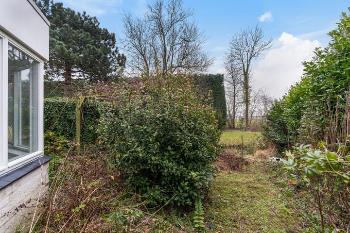 Foto 31 van Beukenlaan 25