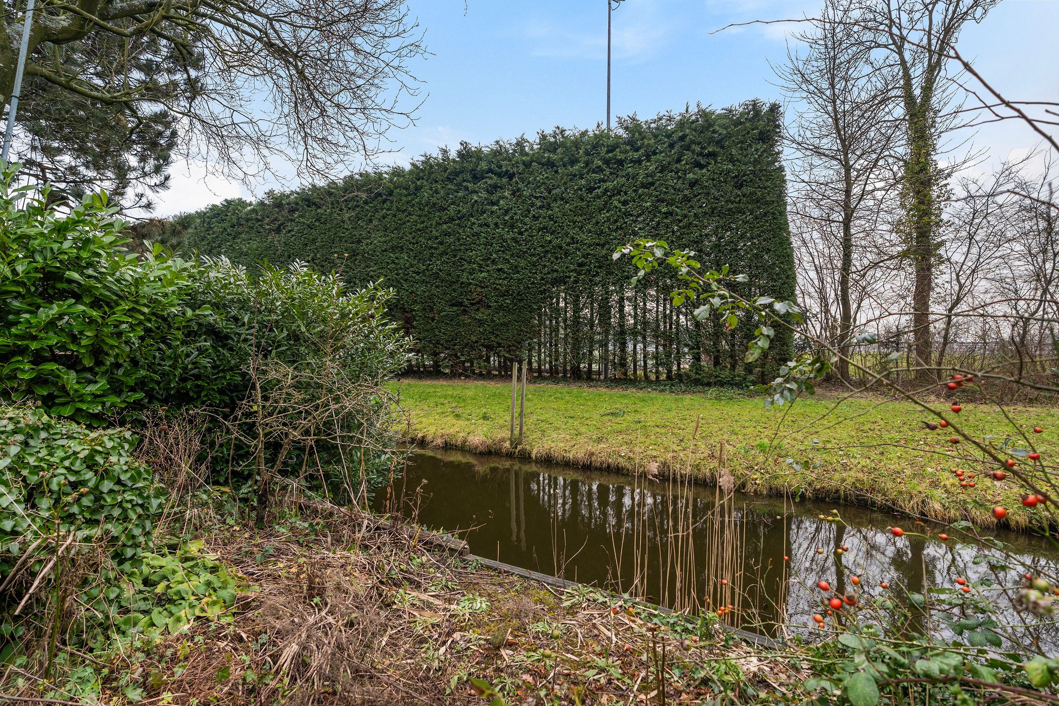 Foto 33 van Beukenlaan 25