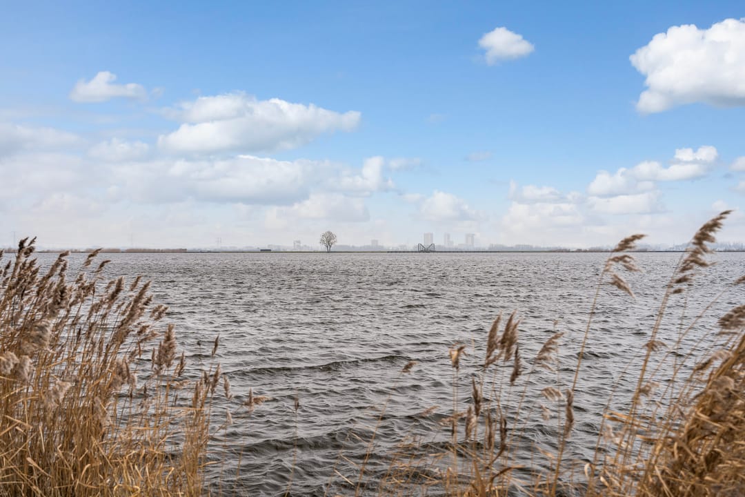 Foto 37 van Beukenlaan 25