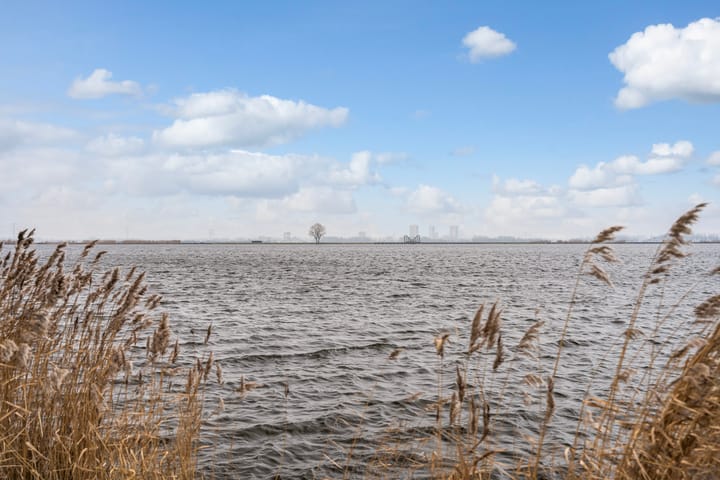 Foto 37 van Beukenlaan 25