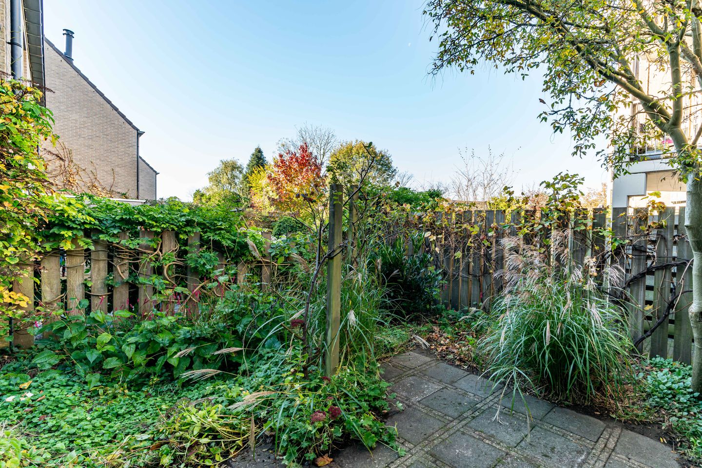 Photo 25 of Pauwhof 179