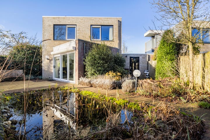 Foto 7 van Framboos 43