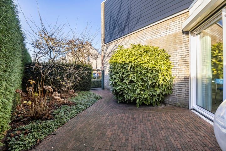 Foto 32 van Framboos 43