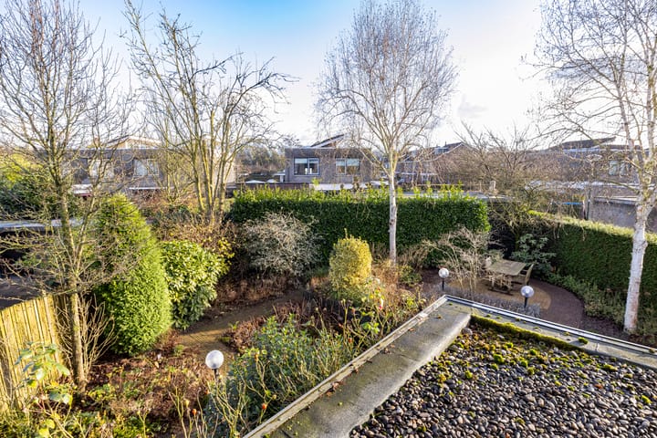 Foto 22 van Framboos 43