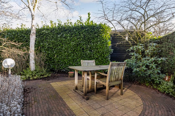 Foto 36 van Framboos 43