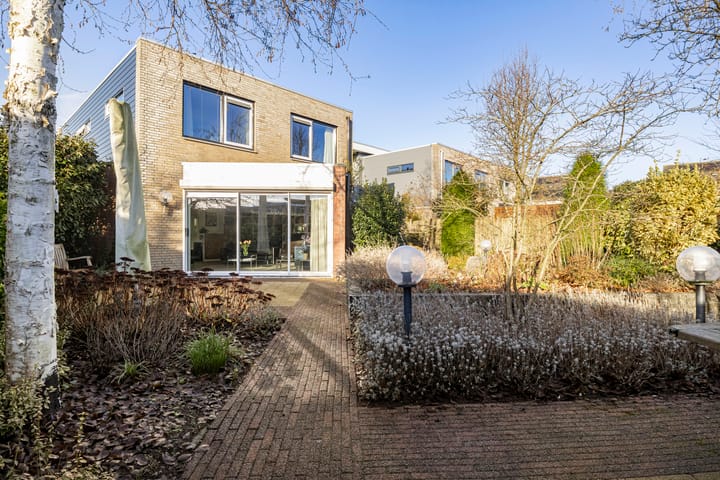 Foto 3 van Framboos 43