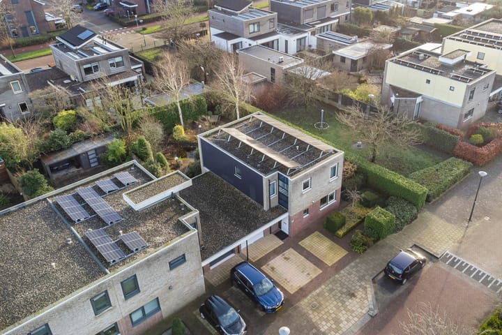 Foto 42 van Framboos 43