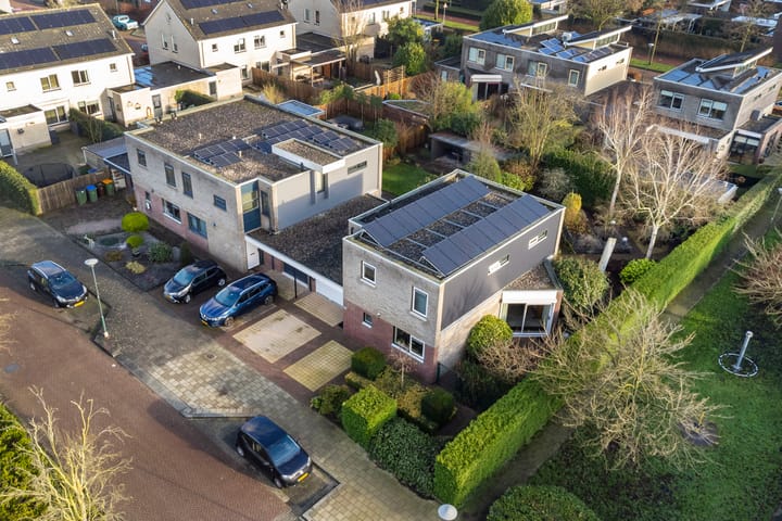 Foto 43 van Framboos 43