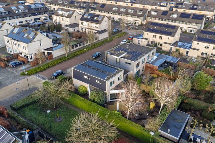 Foto 44 van Framboos 43