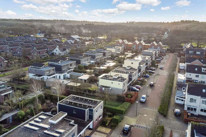 Foto 47 van Framboos 43