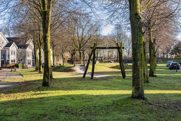 Foto 48 van Framboos 43