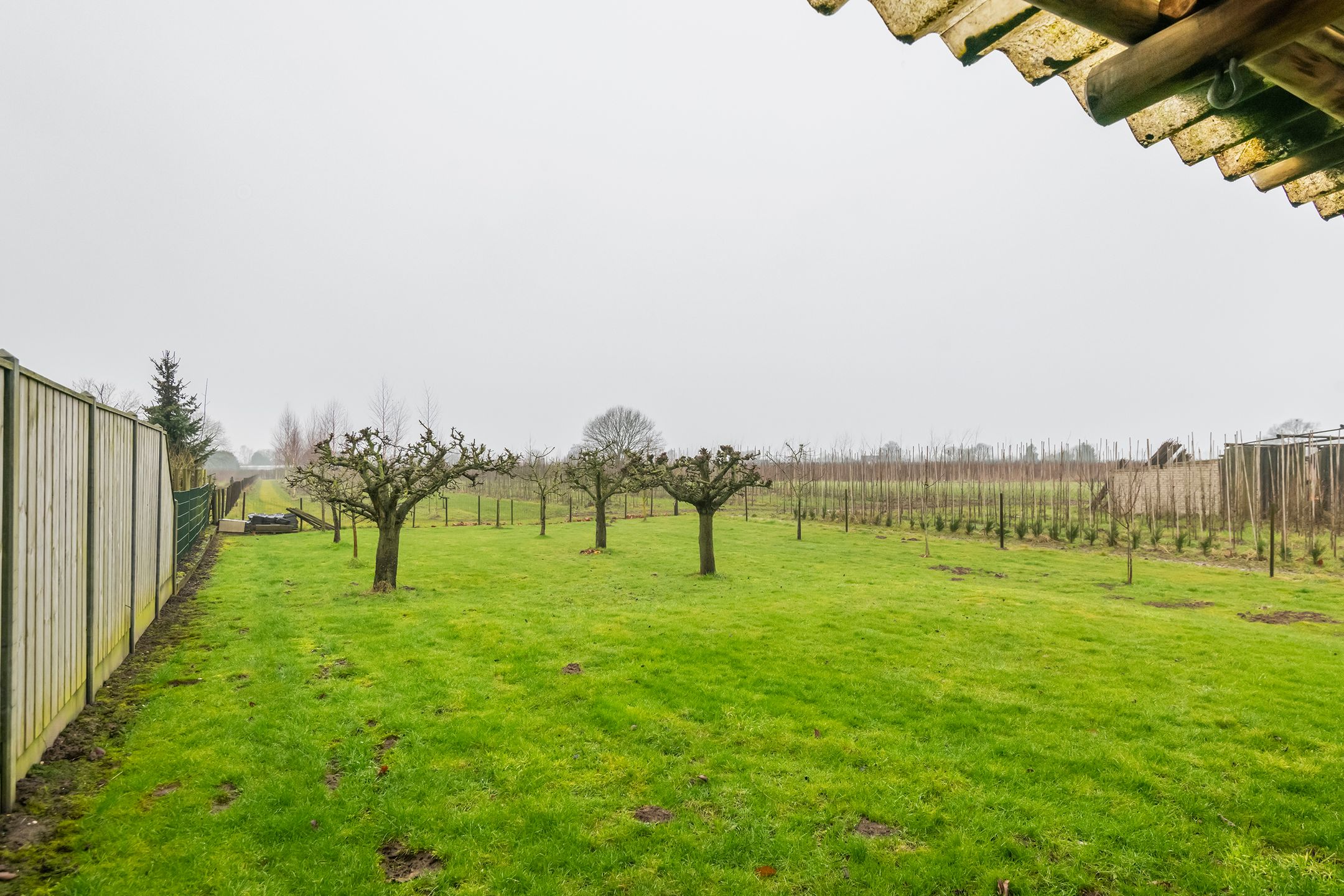 Foto 12 van Luchtenburg 60