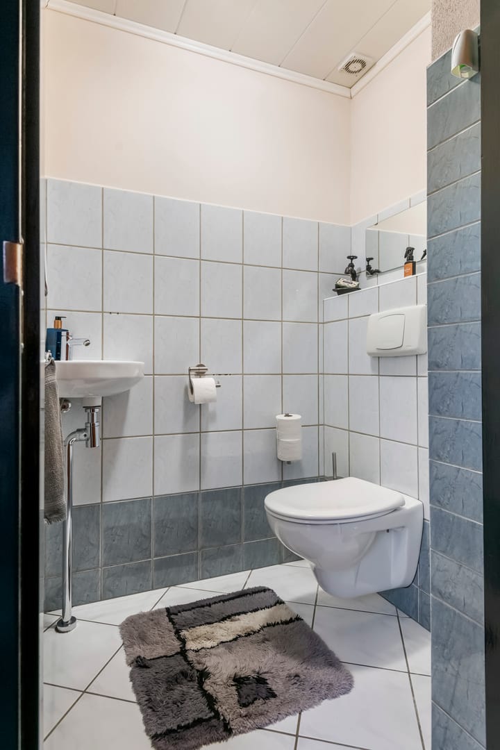 Foto 37 van Luchtenburg 60