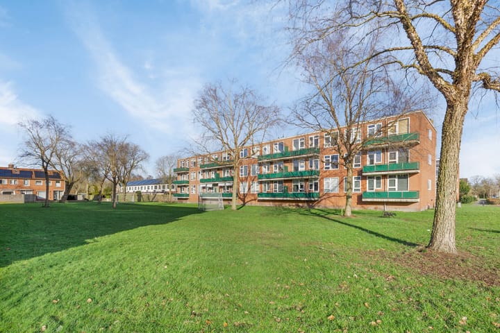 Foto 2 van Iepenlaan 28