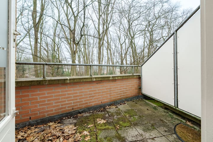 Foto 17 van Zeyster Zand 50