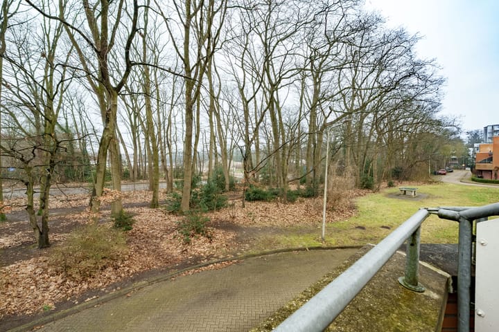 Foto 18 van Zeyster Zand 50