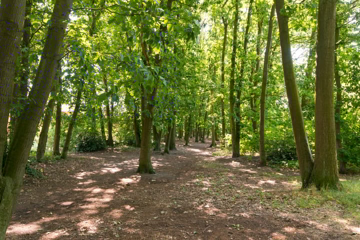 Foto 19 van Zeyster Zand 50