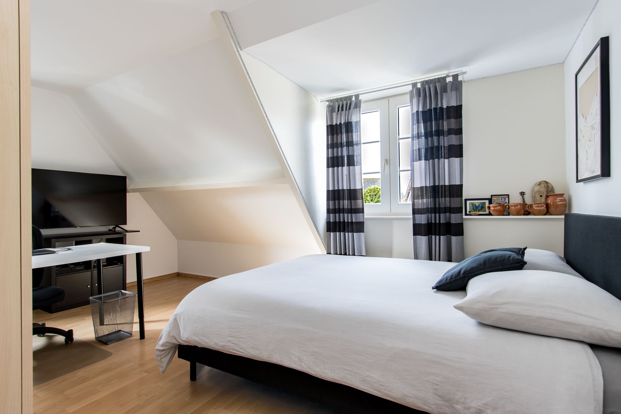 Foto 33 van Valeriaan 26