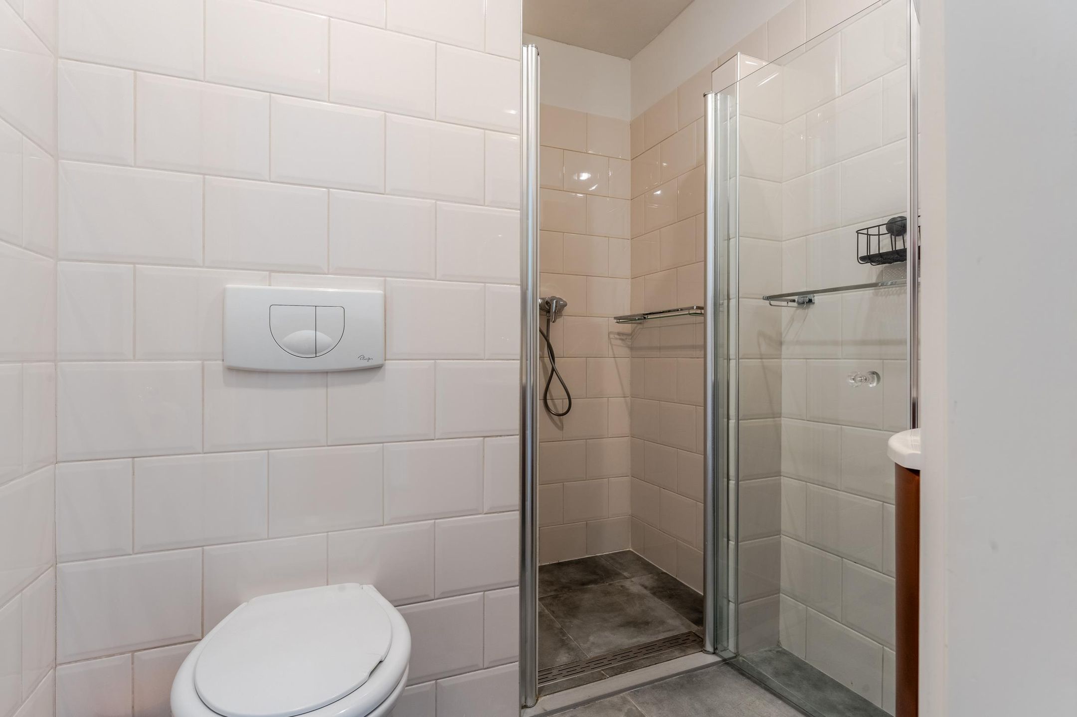 Foto 39 van Drijfriemstraat 19