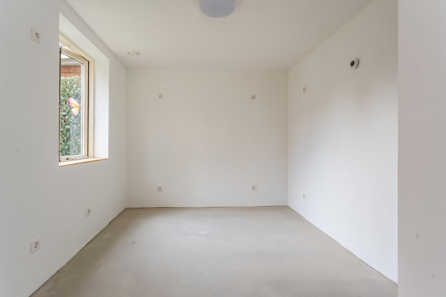 Foto 50 van Drijfriemstraat 19